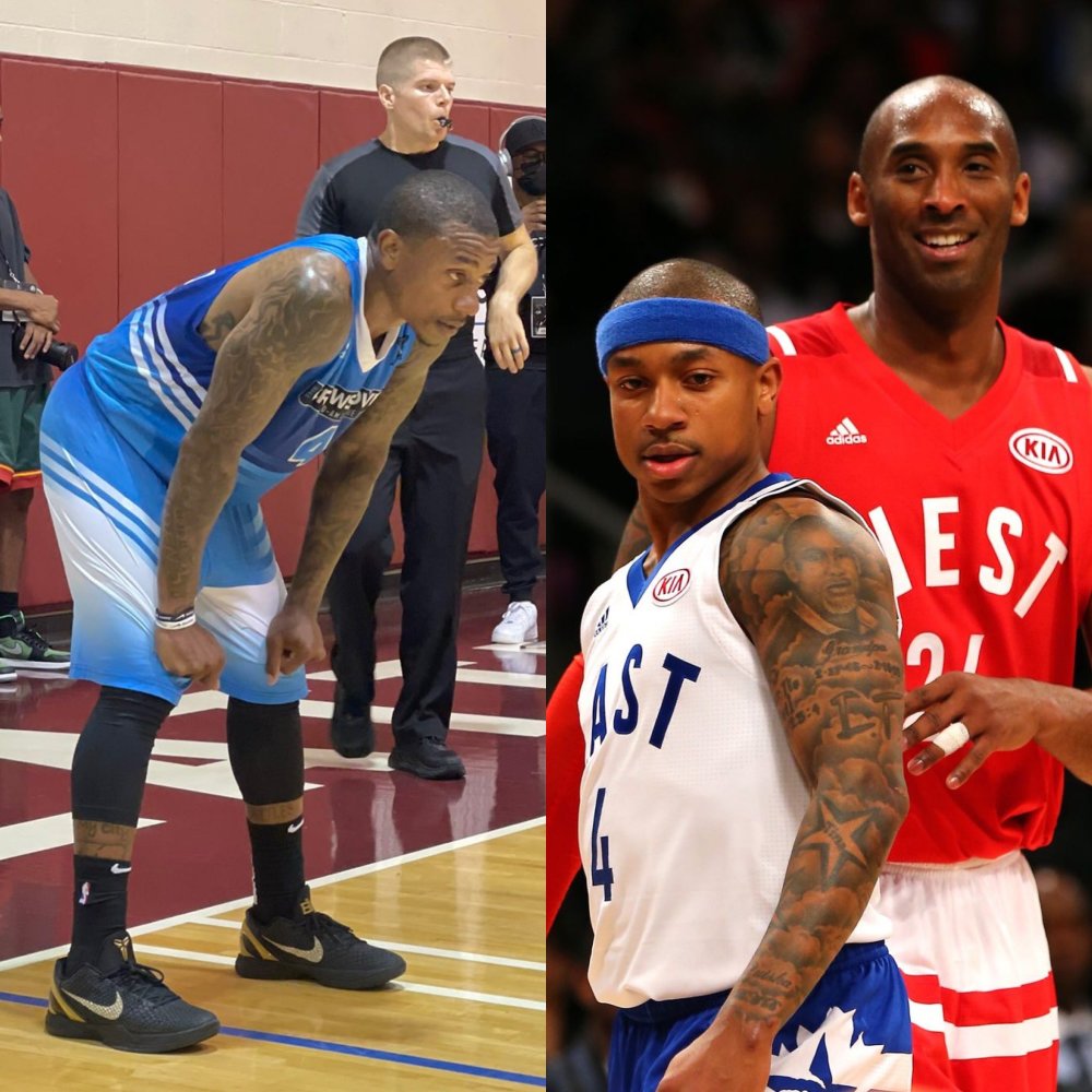 也非常出色 也非常出色